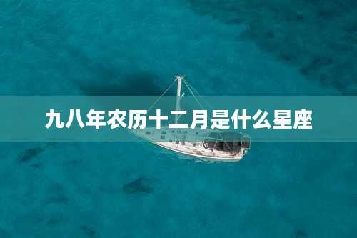 九八年农历十二月是什么星座