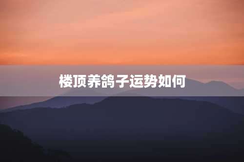 楼顶养鸽子运势如何