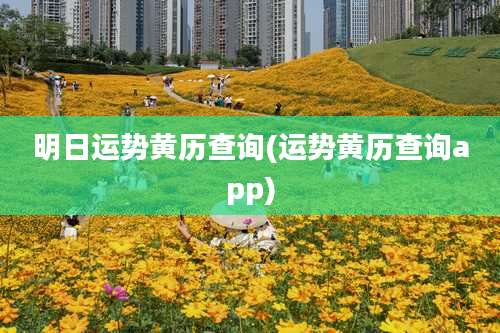 明日运势黄历查询(运势黄历查询app)