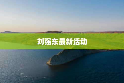 刘强东最新活动