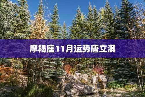 摩羯座11月运势唐立淇