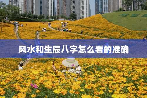 风水和生辰八字怎么看的准确