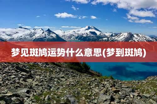 梦见斑鸠运势什么意思(梦到斑鸠)