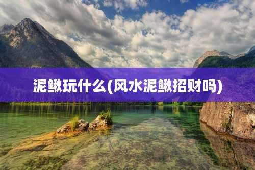 泥鳅玩什么(风水泥鳅招财吗)
