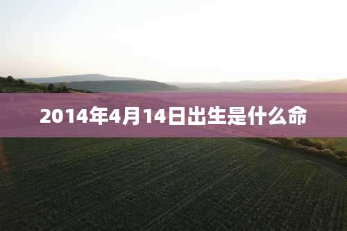 2014年4月14日出生是什么命