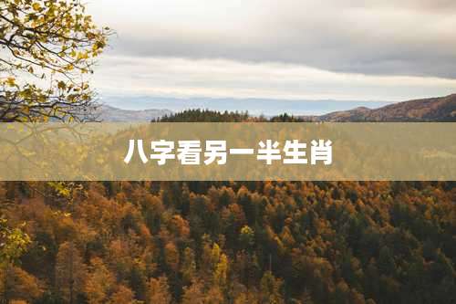 八字看另一半生肖