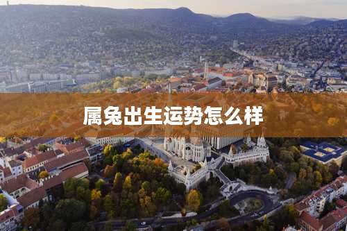 属兔出生运势怎么样