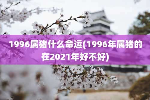 1996属猪什么命运(1996年属猪的在2021年好不好)