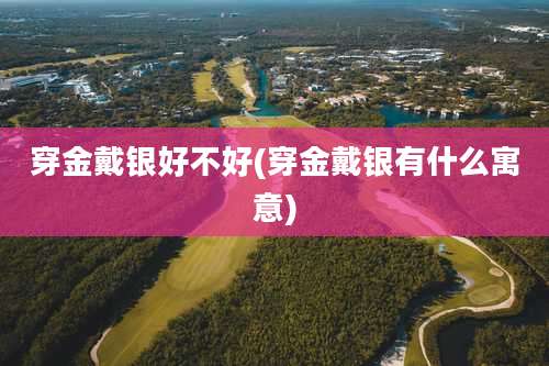 穿金戴银好不好(穿金戴银有什么寓意)