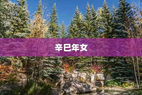 辛巳年女