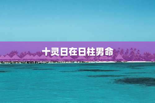 十灵日在日柱男命