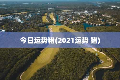 今日运势猪(2021运势 猪)