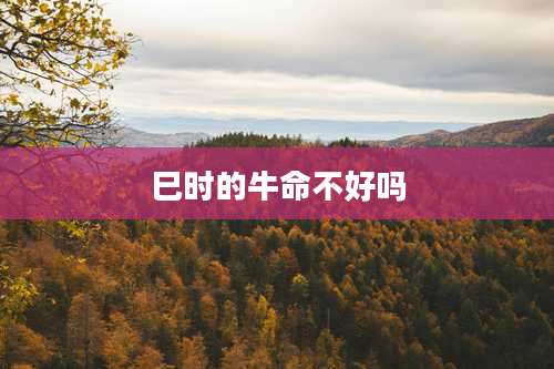 巳时的牛命不好吗