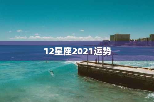 12星座2021运势