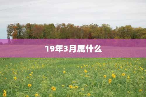 19年3月属什么