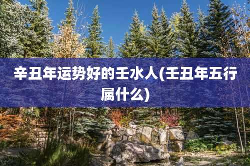 辛丑年运势好的壬水人(壬丑年五行属什么)