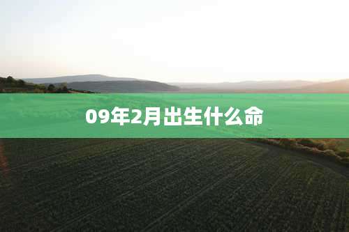 09年2月出生什么命