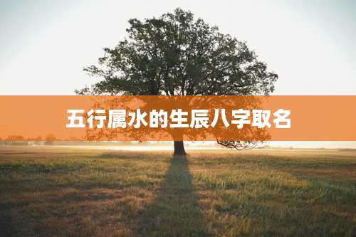 五行属水的生辰八字取名