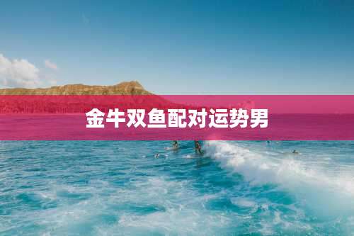 金牛双鱼配对运势男