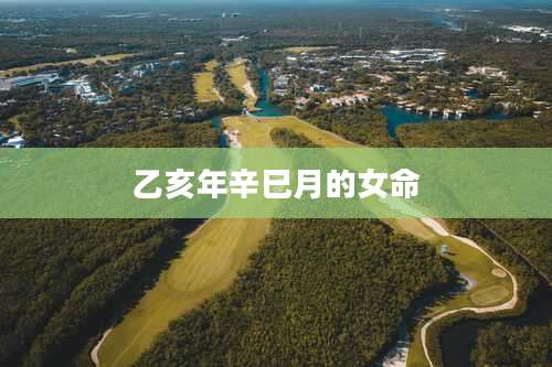 乙亥年辛巳月的女命