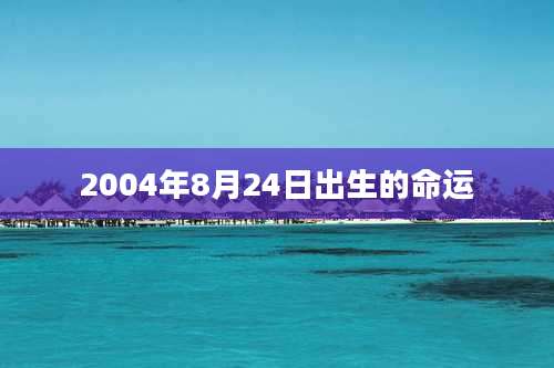 2004年8月24日出生的命运