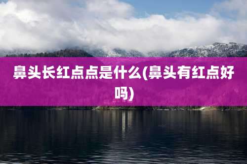 鼻头长红点点是什么(鼻头有红点好吗)