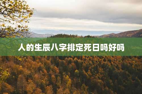 人的生辰八字排定死日吗好吗