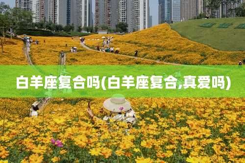 白羊座复合吗(白羊座复合,真爱吗)