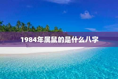 1984年属鼠的是什么八字