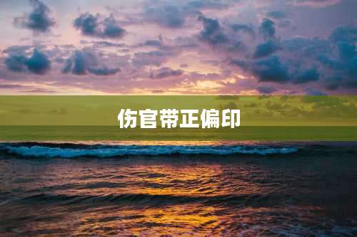伤官带正偏印