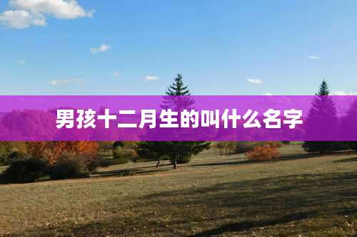 男孩十二月生的叫什么名字