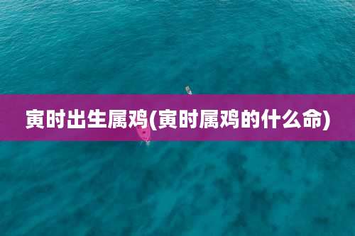 寅时出生属鸡(寅时属鸡的什么命)