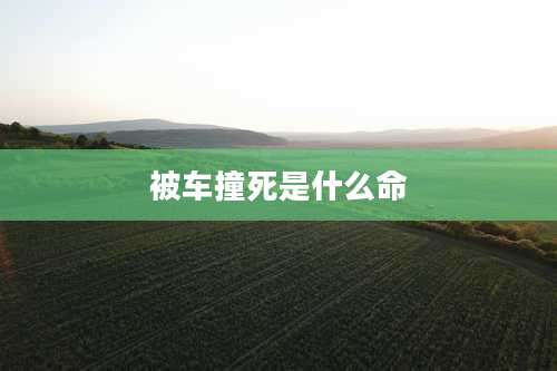 被车撞死是什么命
