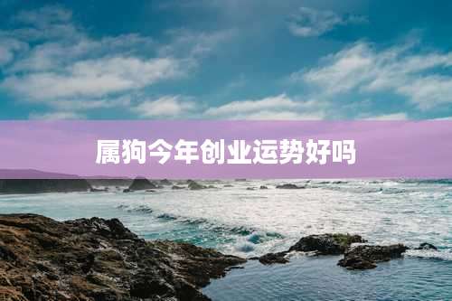 属狗今年创业运势好吗
