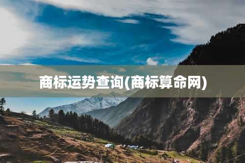 商标运势查询(商标算命网)