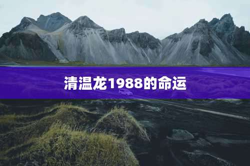 清温龙1988的命运