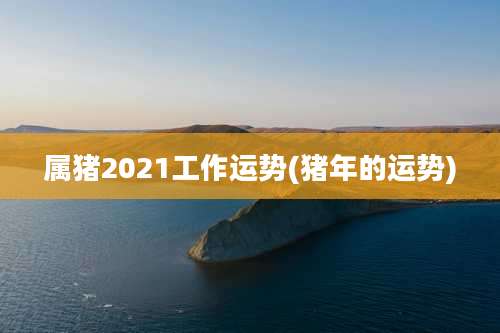 属猪2021工作运势(猪年的运势)
