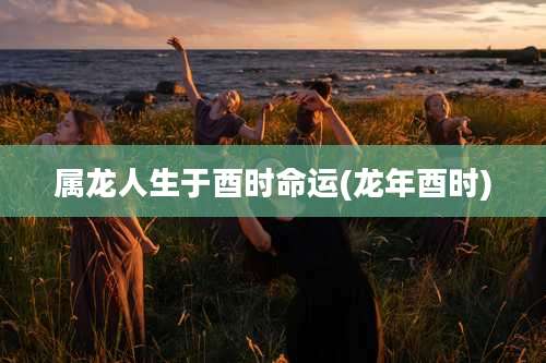 属龙人生于酉时命运(龙年酉时)