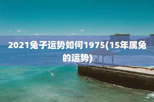 2021兔子运势如何1975(15年属兔的运势)