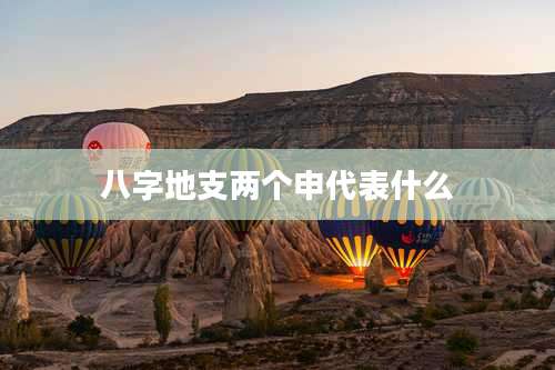 八字地支两个申代表什么