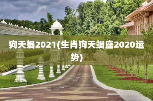 狗天蝎2021(生肖狗天蝎座2020运势)
