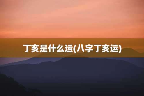 丁亥是什么运(八字丁亥运)