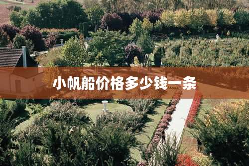 小帆船价格多少钱一条