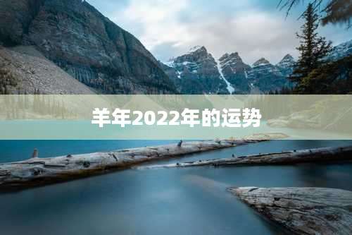 羊年2022年的运势