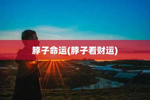 脖子命运(脖子看财运)