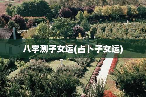 八字测子女运(占卜子女运)