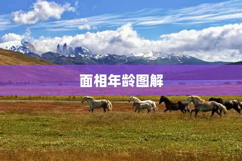 面相年龄图解