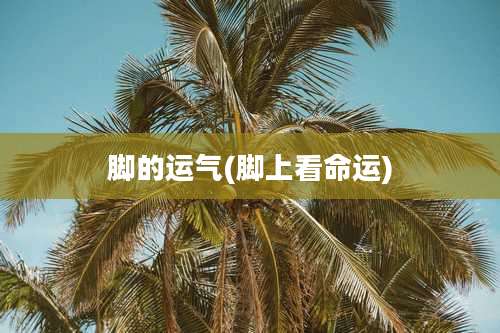 脚的运气(脚上看命运)