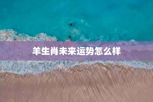 羊生肖未来运势怎么样