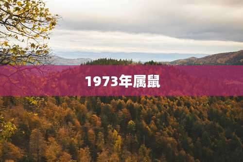 1973年属鼠